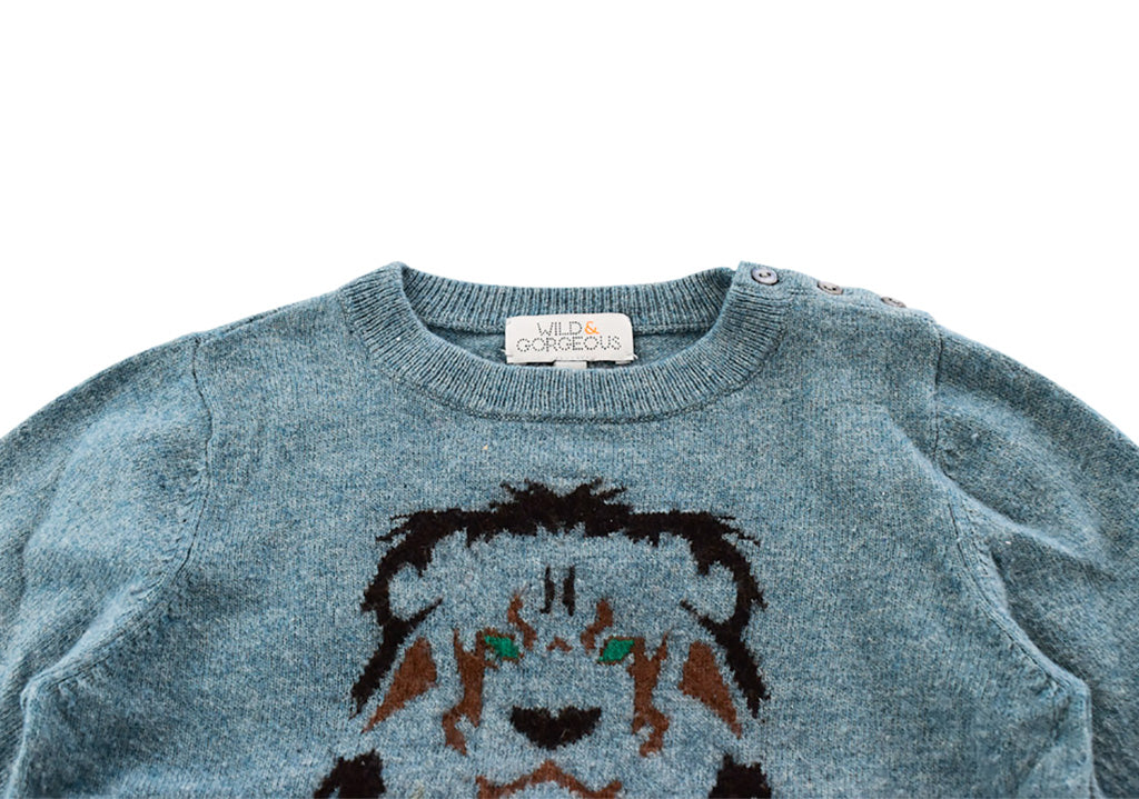 Wild & Gorgeous, Boys Sweater, 2 Years